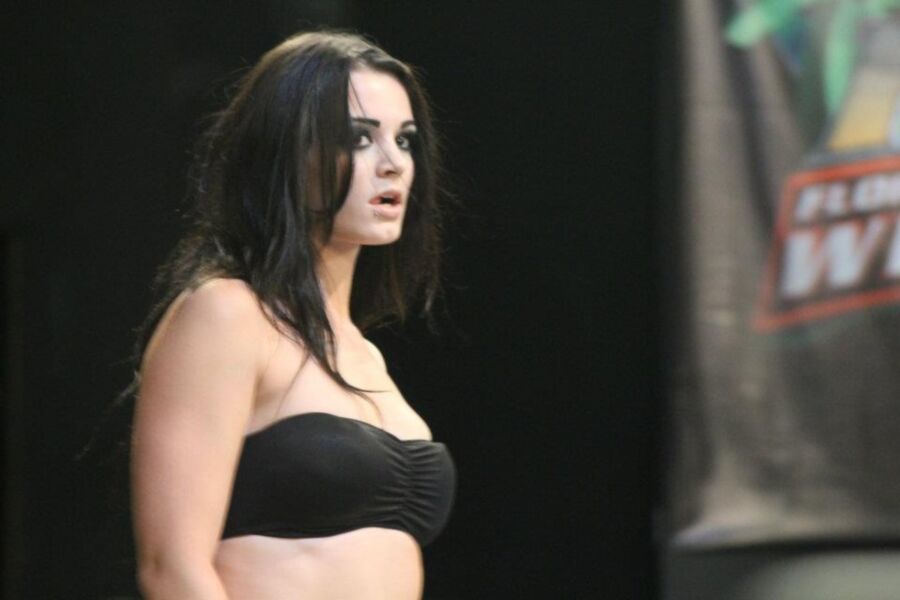 Paige WWE NXT Diva