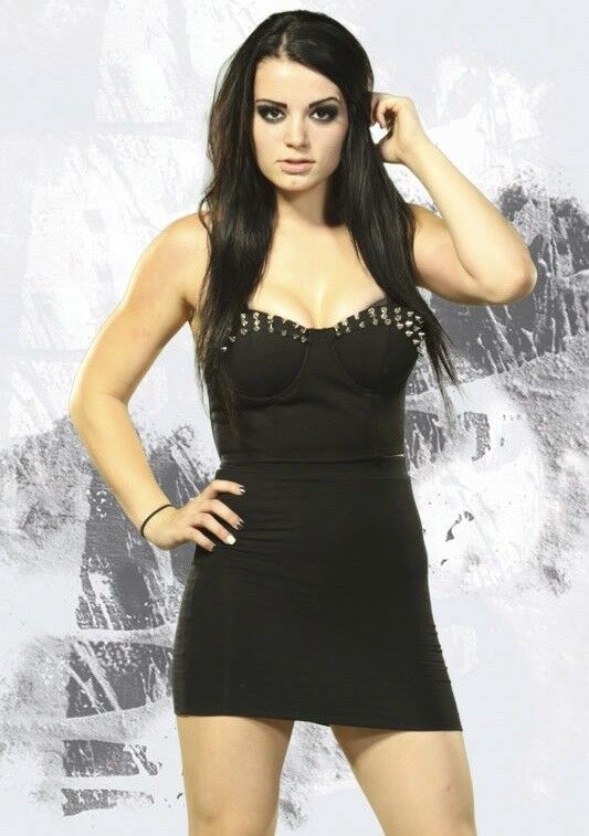 Paige WWE NXT Diva