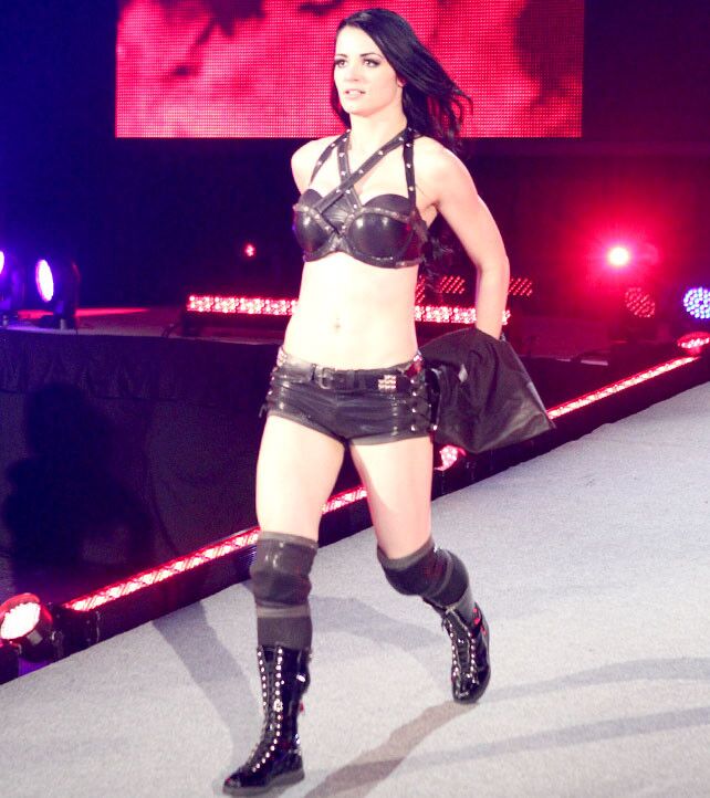 Paige WWE NXT Diva