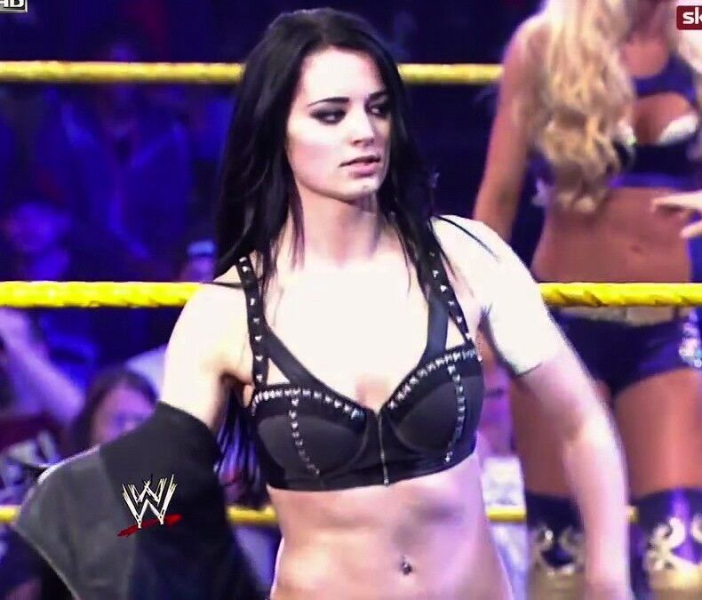 Paige WWE NXT Diva