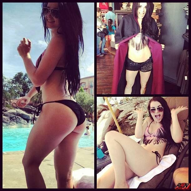 Paige WWE NXT Diva