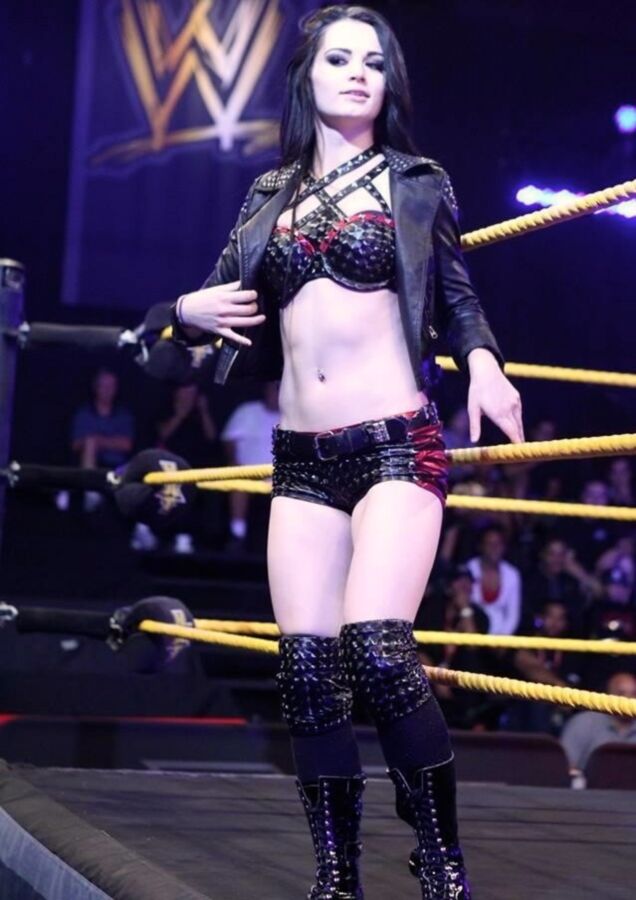 Paige WWE NXT Diva