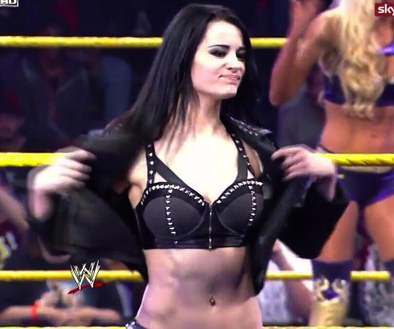 Paige WWE NXT Diva