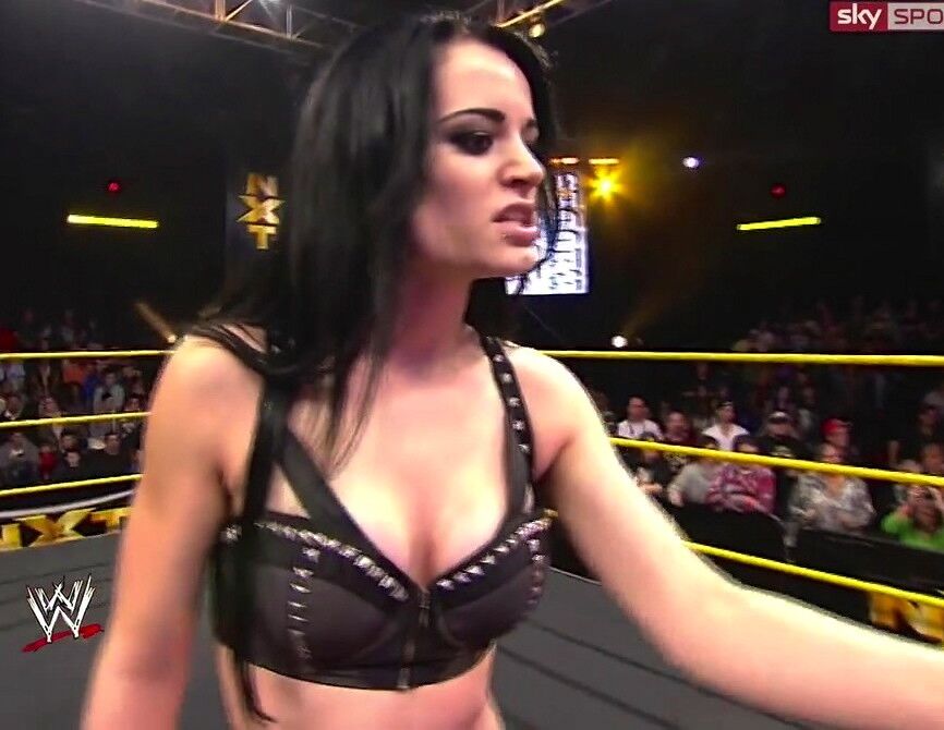 Paige WWE NXT Diva