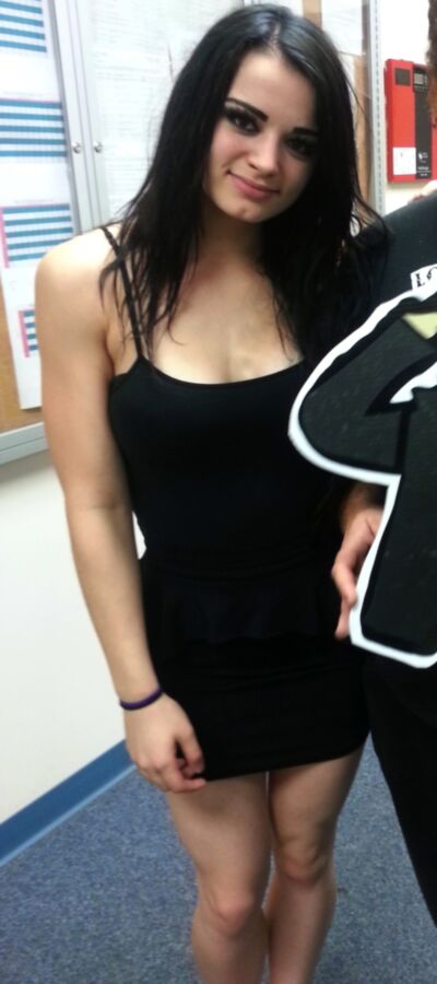 Paige WWE NXT Diva