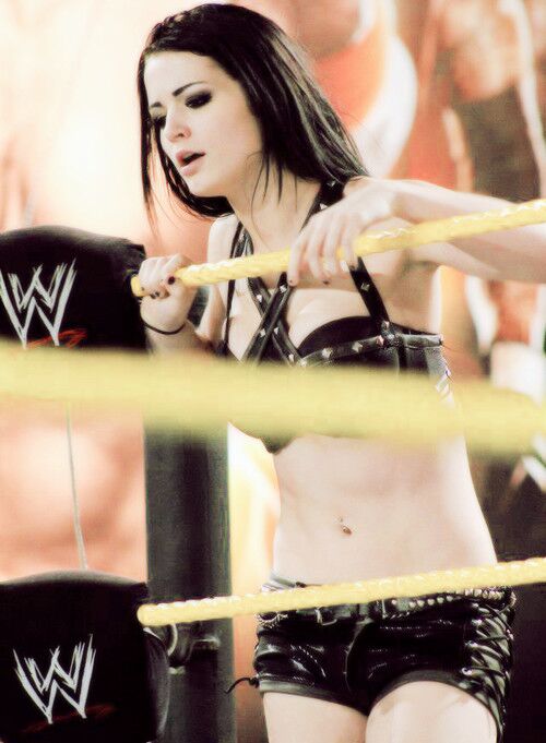 Paige WWE NXT Diva