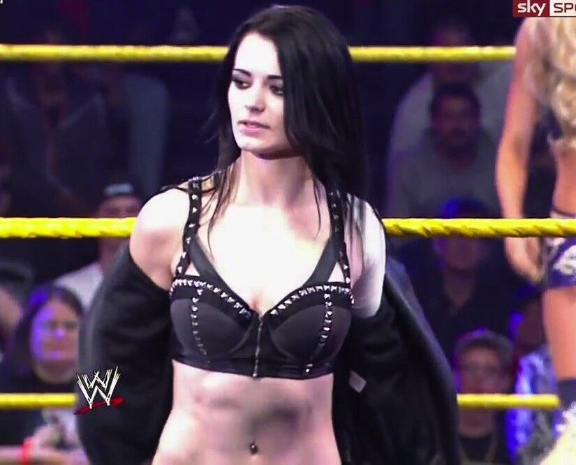 Paige WWE NXT Diva