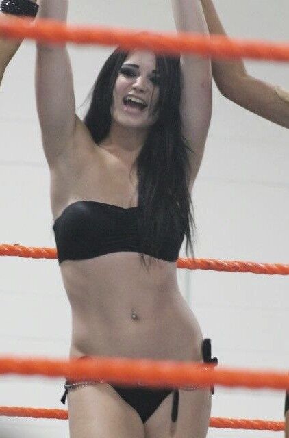 Paige WWE NXT Diva