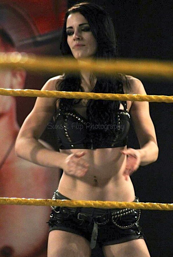 Paige WWE NXT Diva