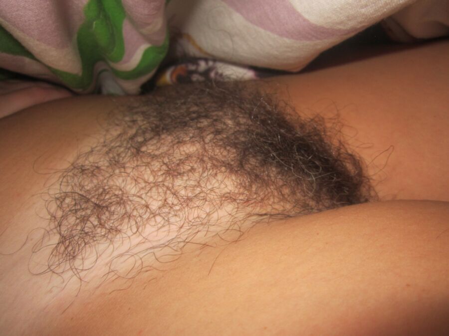 Even more pics my passed out hairy wife