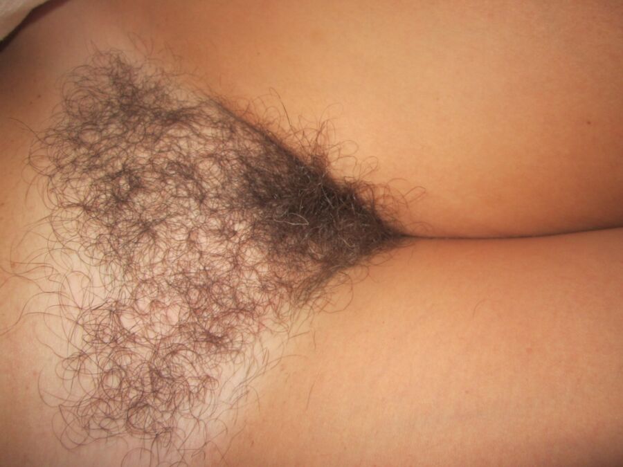 Even more pics my passed out hairy wife