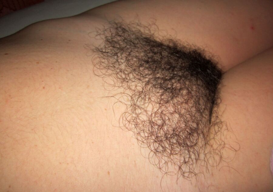 Even more pics my passed out hairy wife