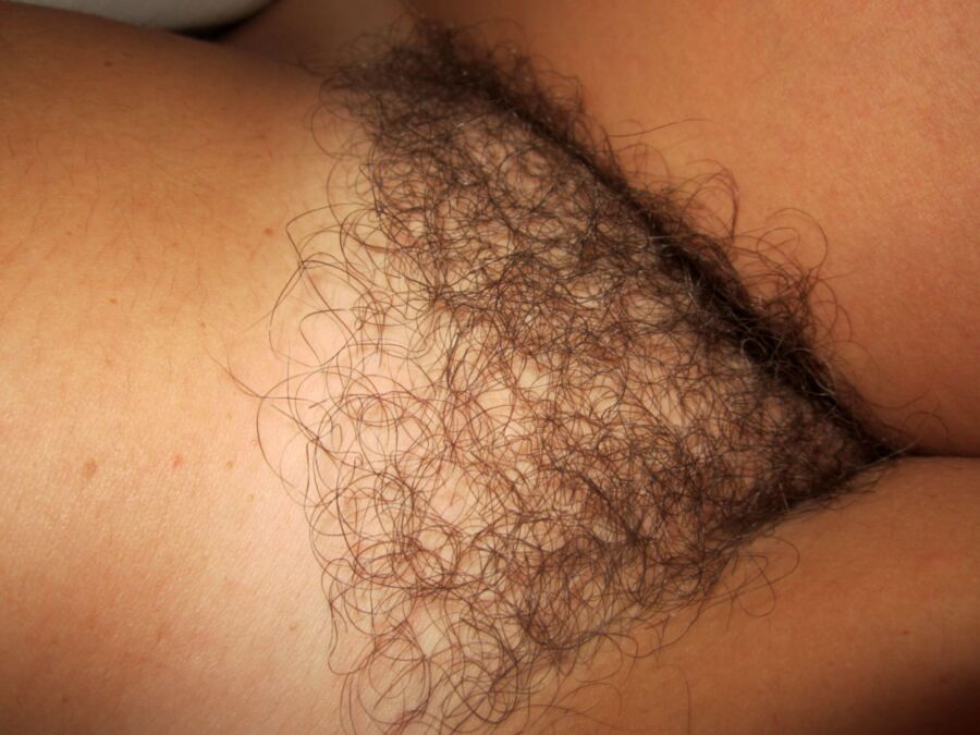 Even more pics my passed out hairy wife