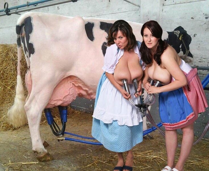 Dairy Cattle - Human Milk Cows