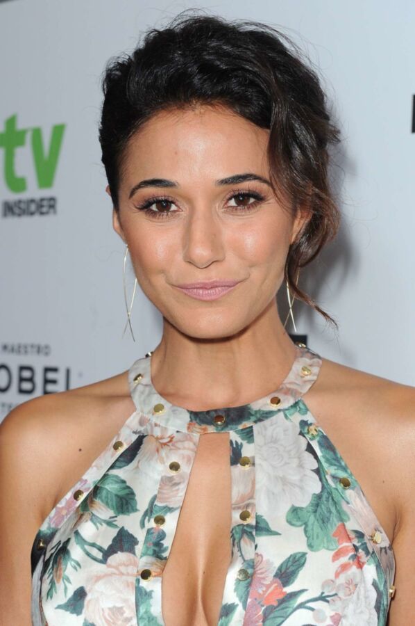 Emmanuelle Chriqui Hot at TV Awards