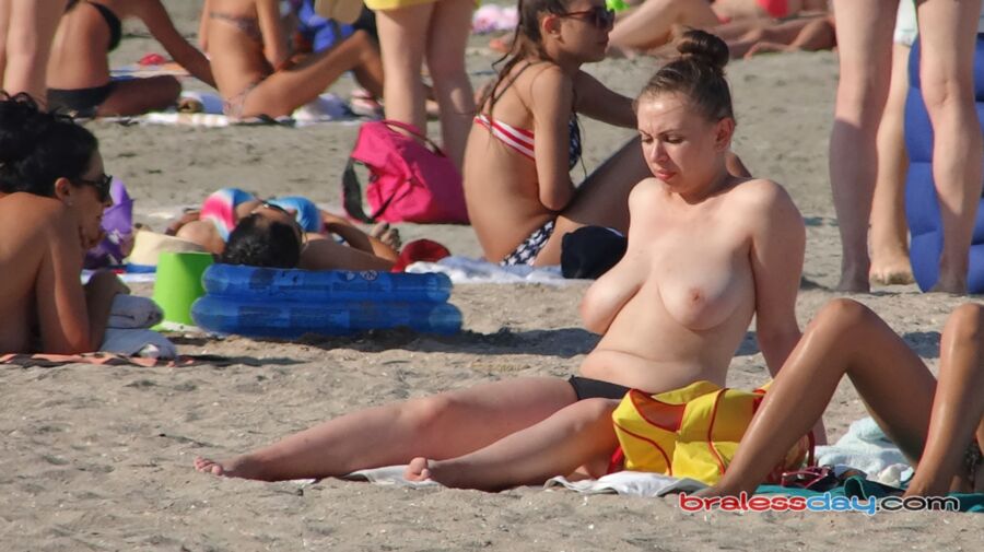 Great Tits - Beach