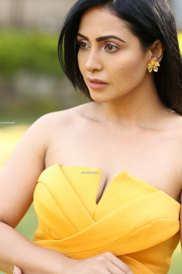 Nandini Rai- Beautiful Indian Bollywood Diva in Yellow Dress