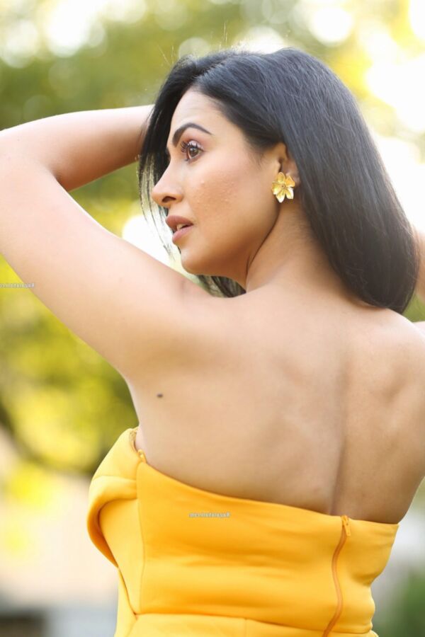 Nandini Rai- Beautiful Indian Bollywood Diva in Yellow Dress