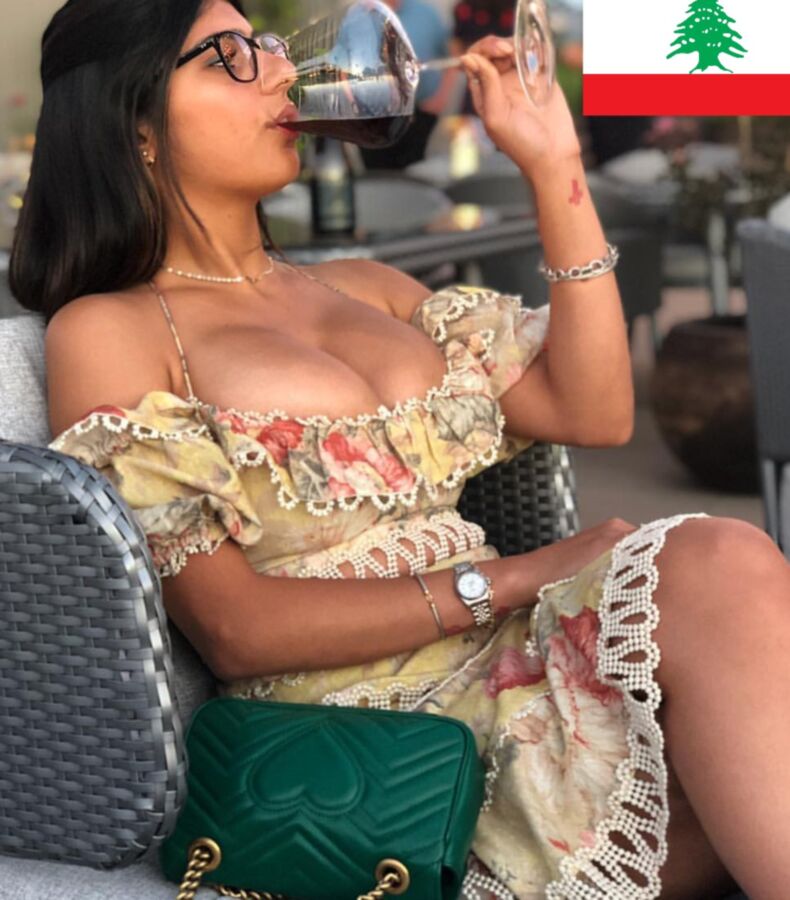 Middle Eastern pornstars (Kanakenschlampen im Business)