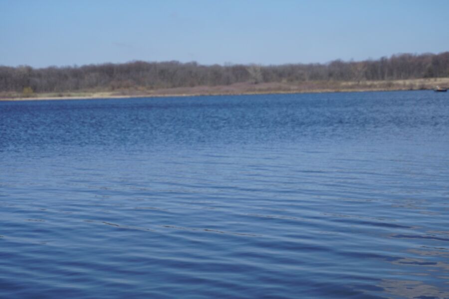 Madden - Alivio junto al lago