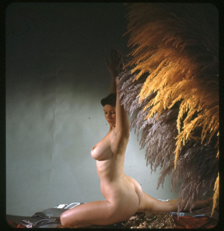 Unknown Vintage Big Tit Model Slides by George Mann