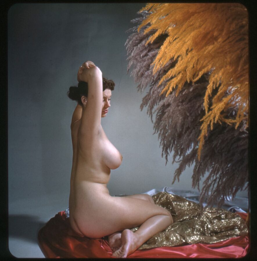 Unknown Vintage Big Tit Model Slides by George Mann