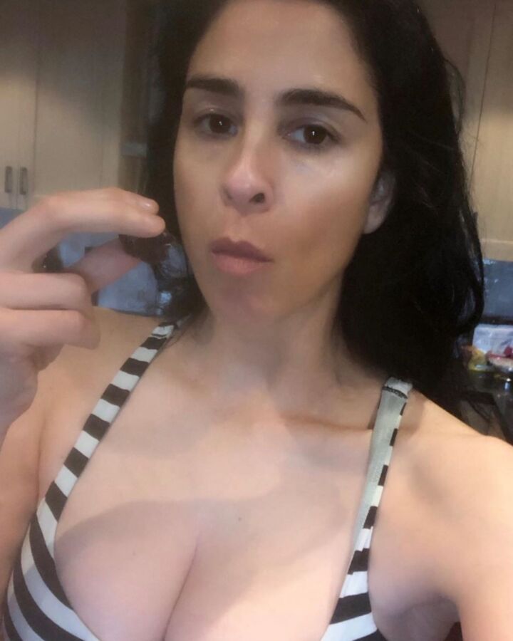 Tits - Sarah Silverman