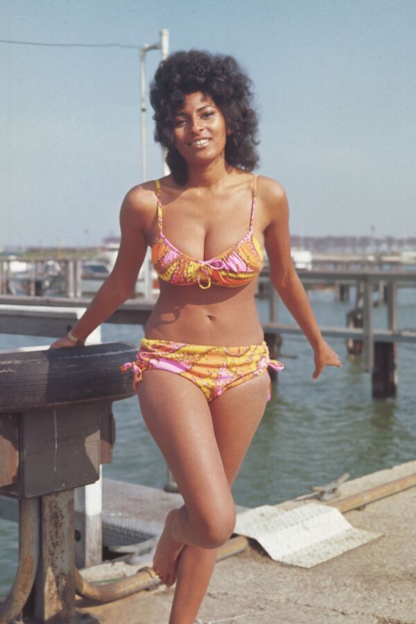 Pam Grier (melhores imagens em HD)