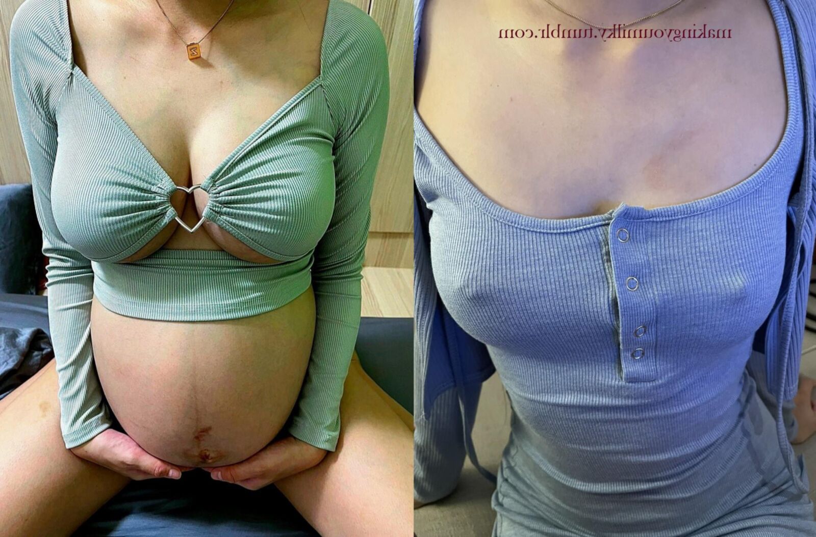 Pregnant Transformations, Part 23