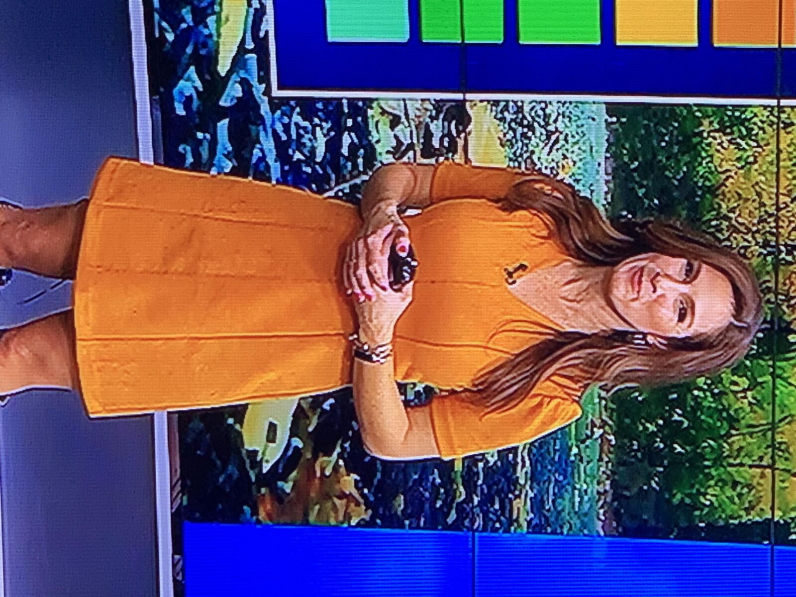 Sheri Spear Fox 25 Tiempo en Boston