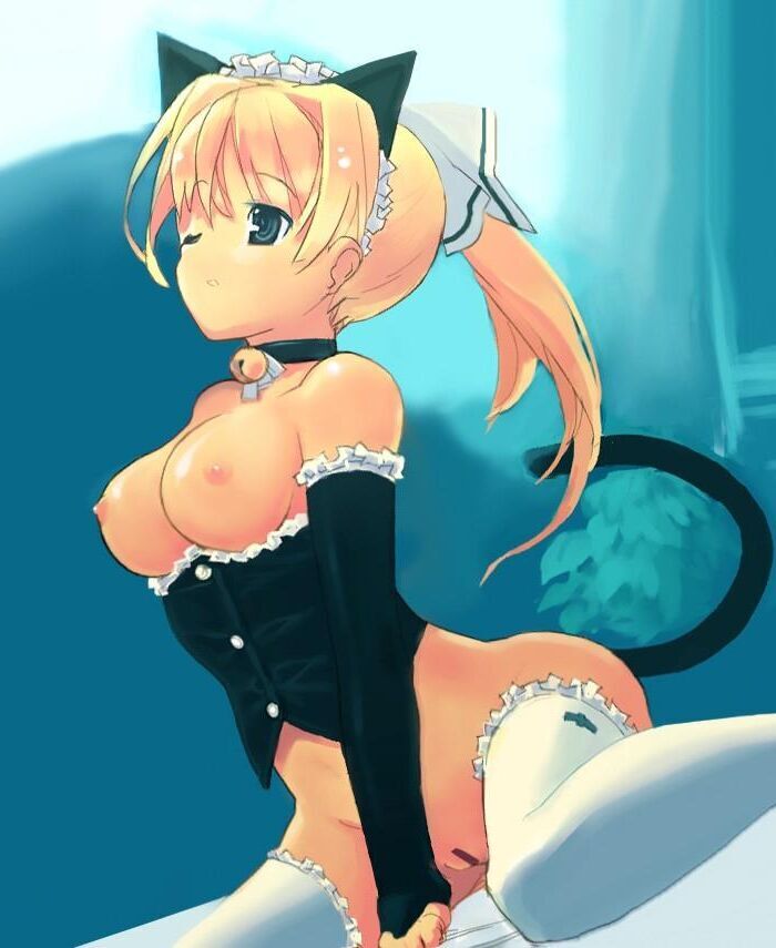 Nekomimi Chicas Gata Hentai