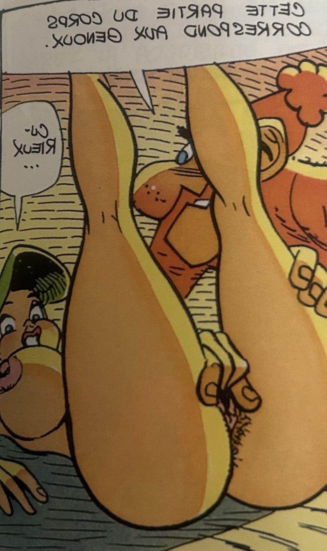 PP MALIN Hairy french Comics 