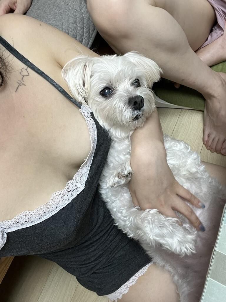 Adolescente coreana de tetas grandes