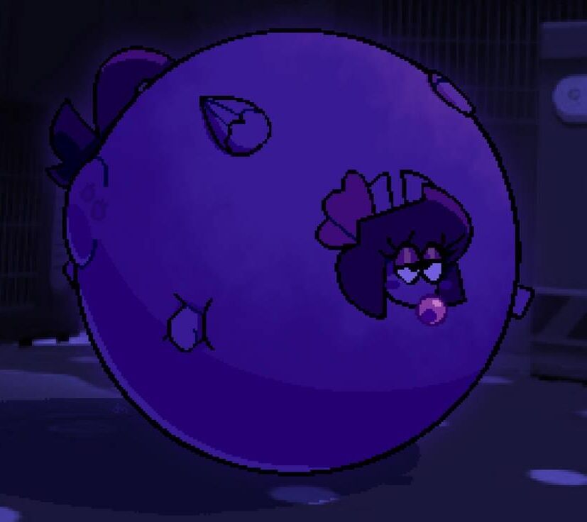 Blueberry inflation 13