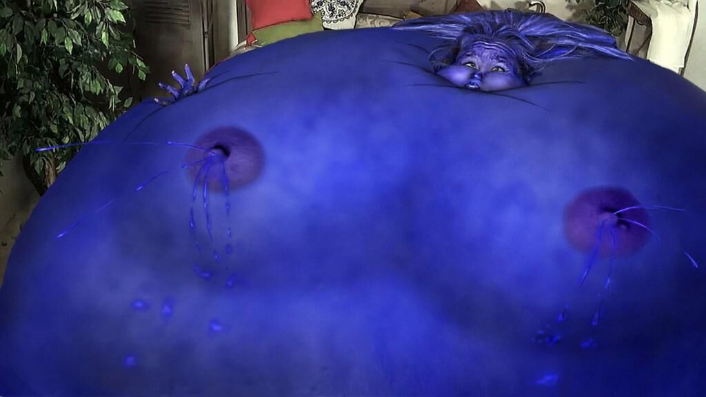 Blaubeerinflation 3