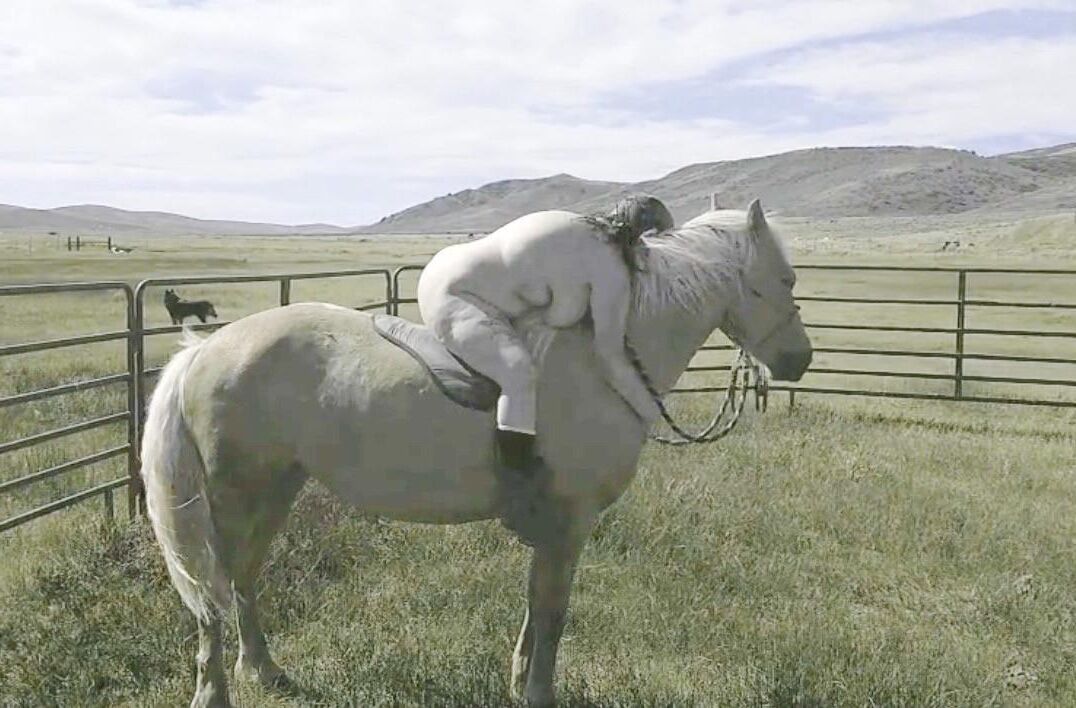 BBW Jinete del caballo