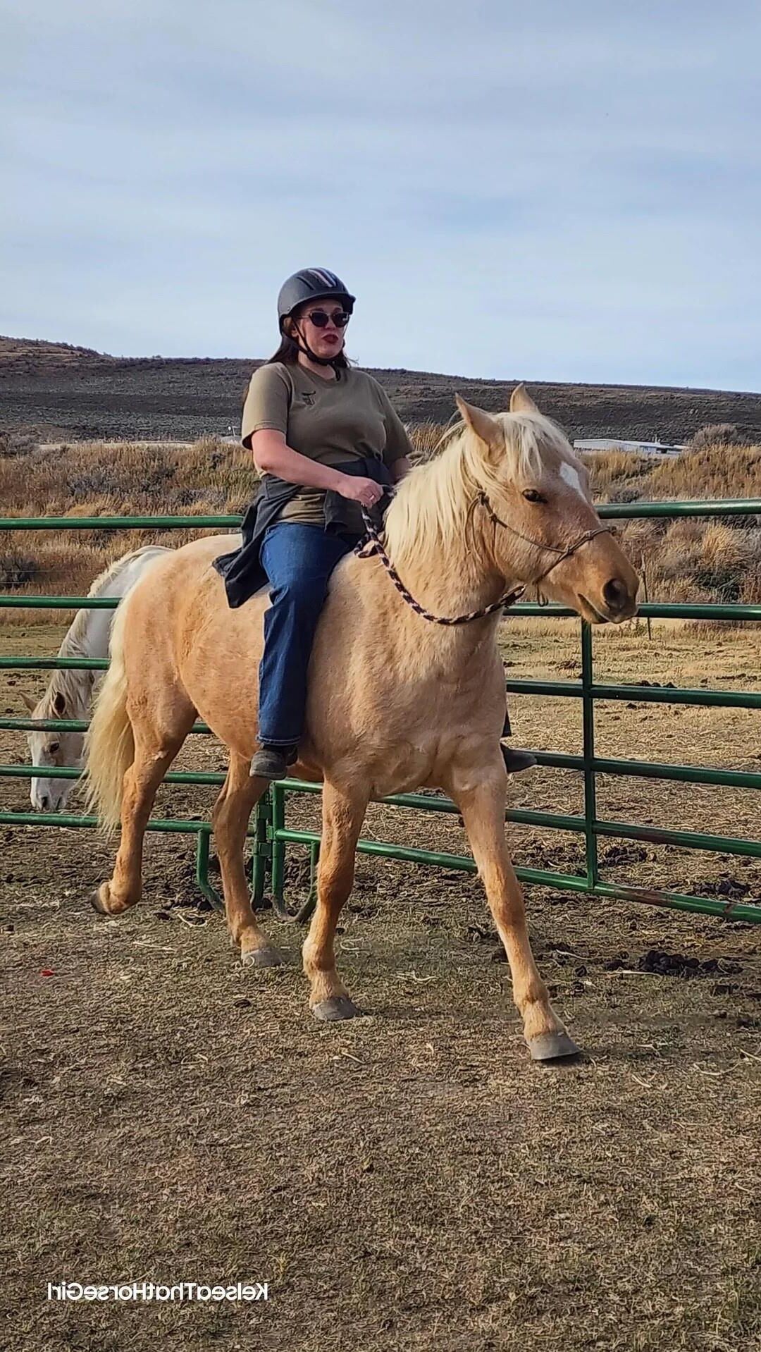 BBW Jinete del caballo