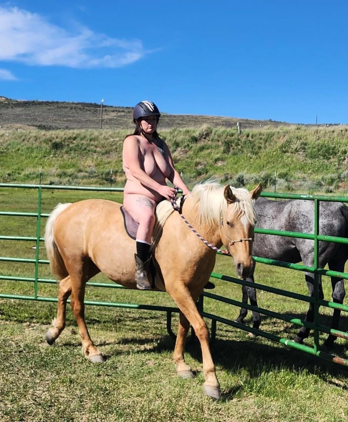 BBW Jinete del caballo