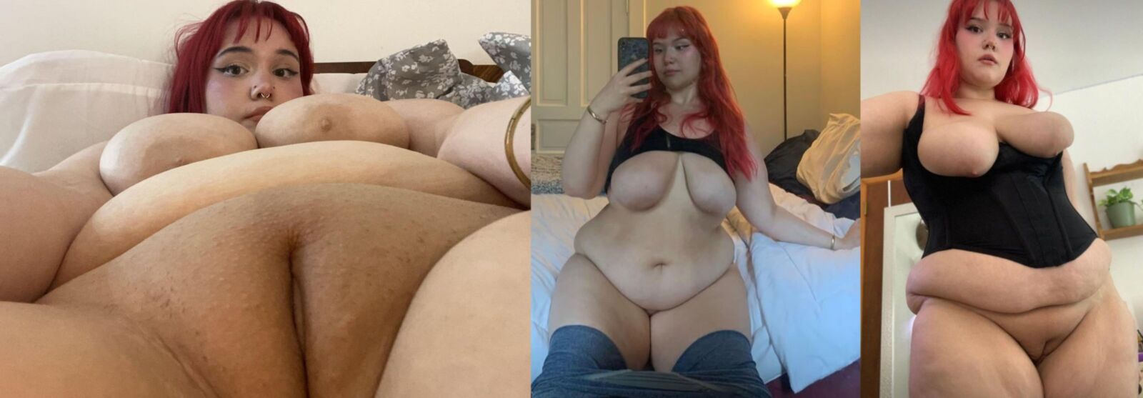 Plumper Panorama Vol 