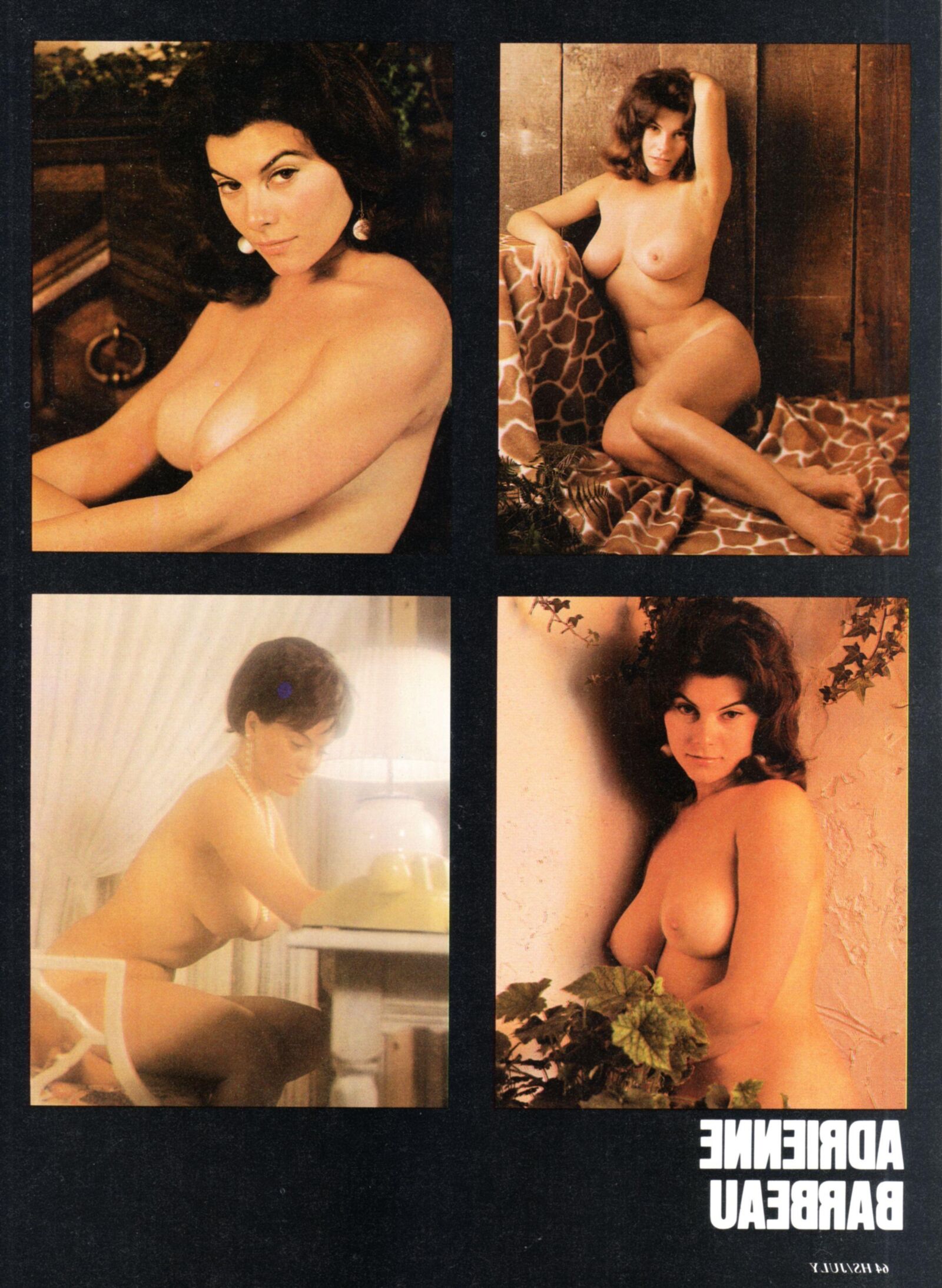 Collection Adrienne Barbeau Toples