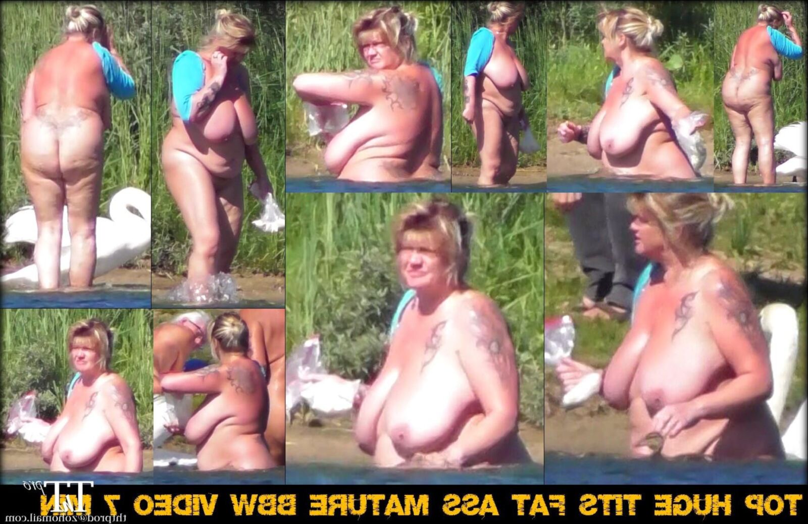 Огромные сиськи толстые задницы BBWS