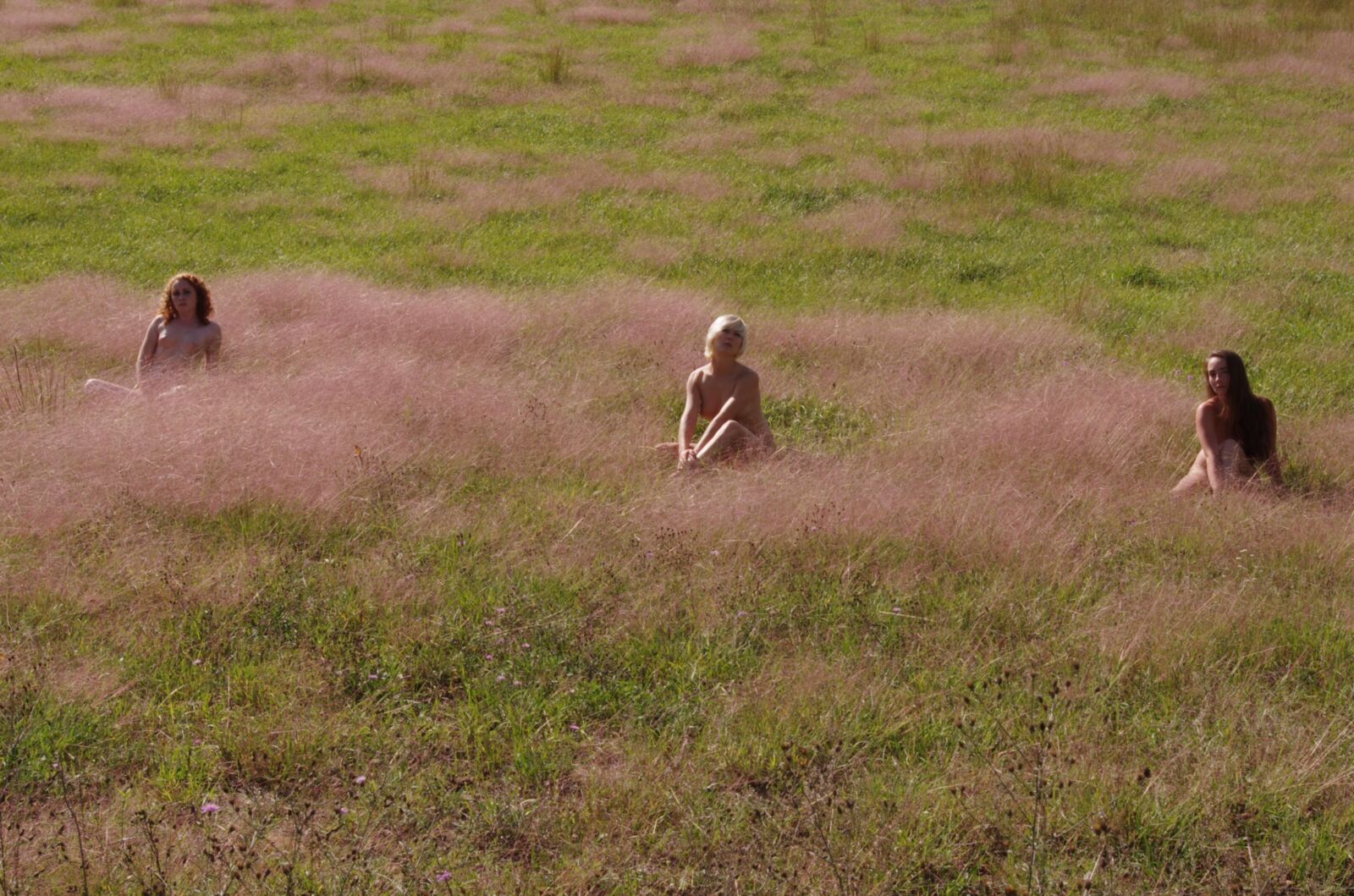 ledéjeunersur l \ 'herbe