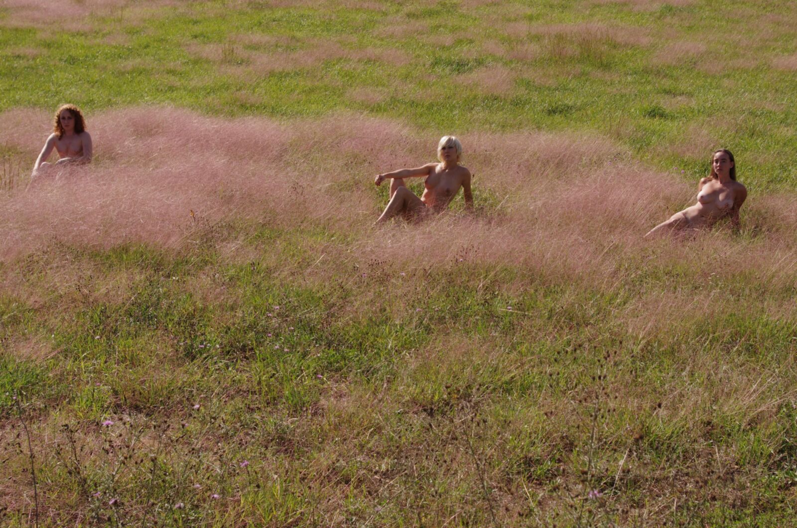 ledéjeunersur l \ 'herbe