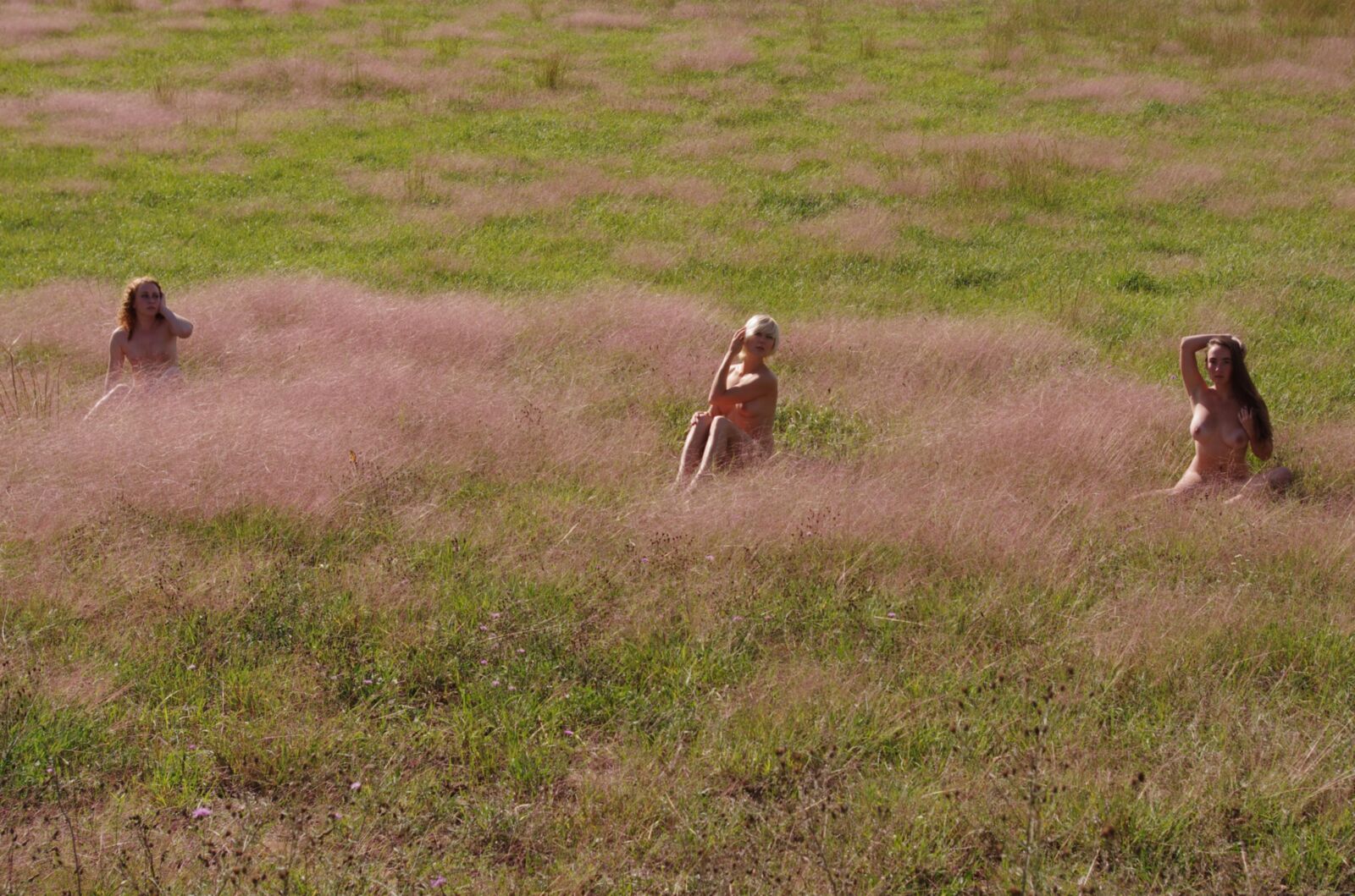 ledéjeunersur l \ 'herbe