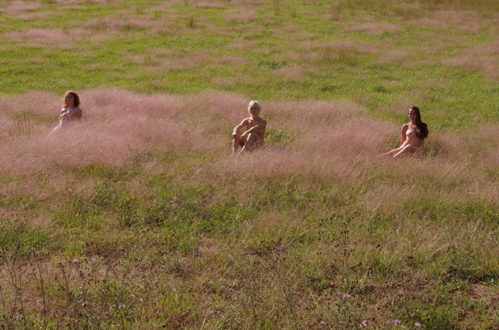 Le déjeuner sur l \ 'herbe