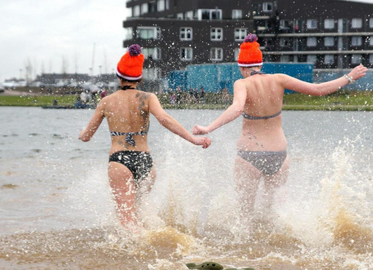 Neujahrstauchgänge in den Niederlanden verschiedene