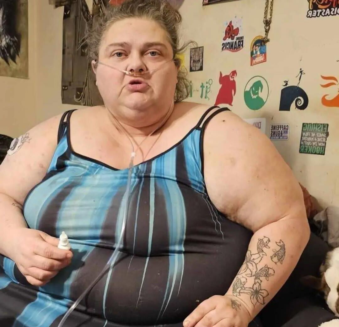 Bbws vêtus de gros