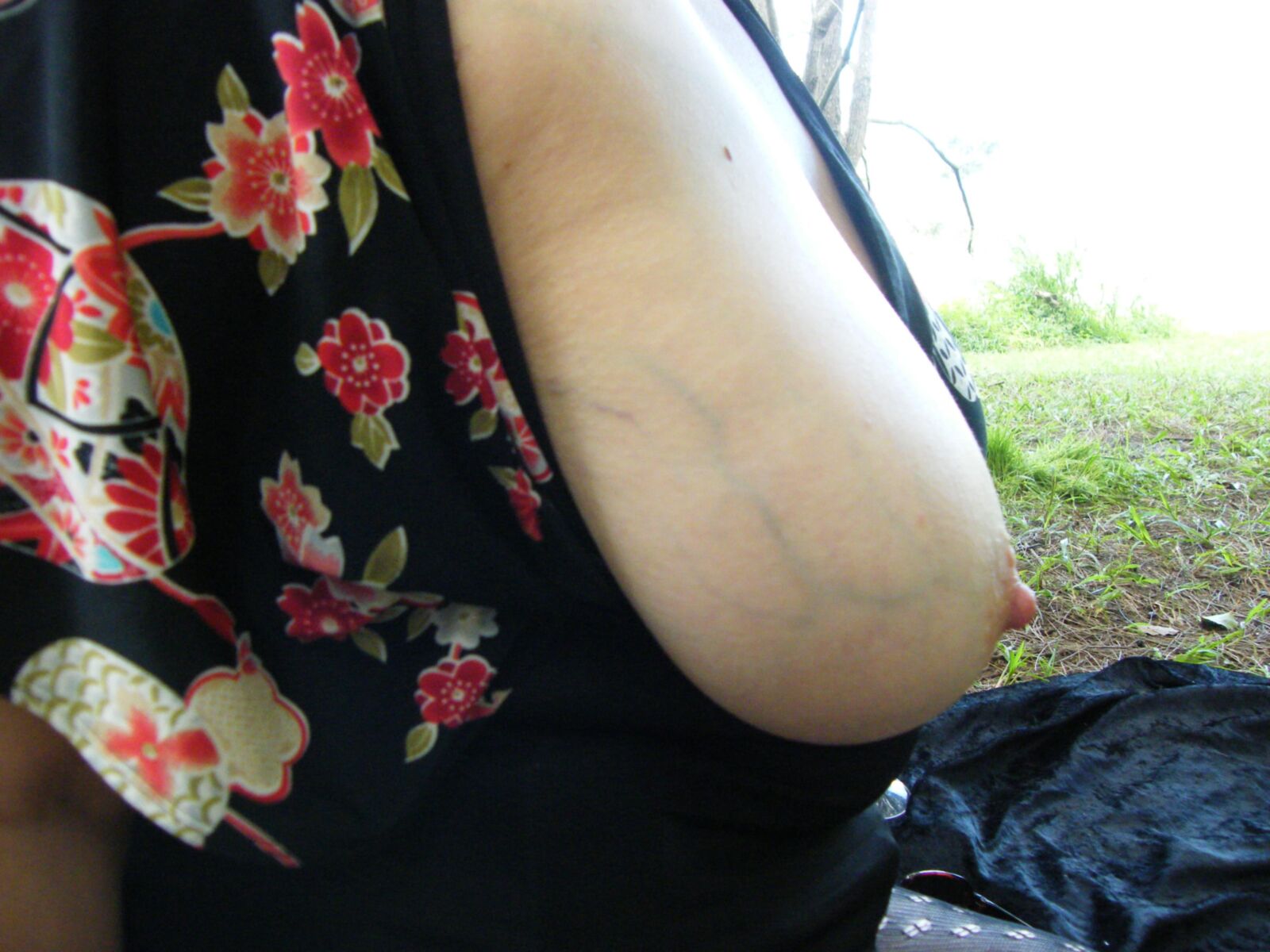 Grands seins et plus encore.