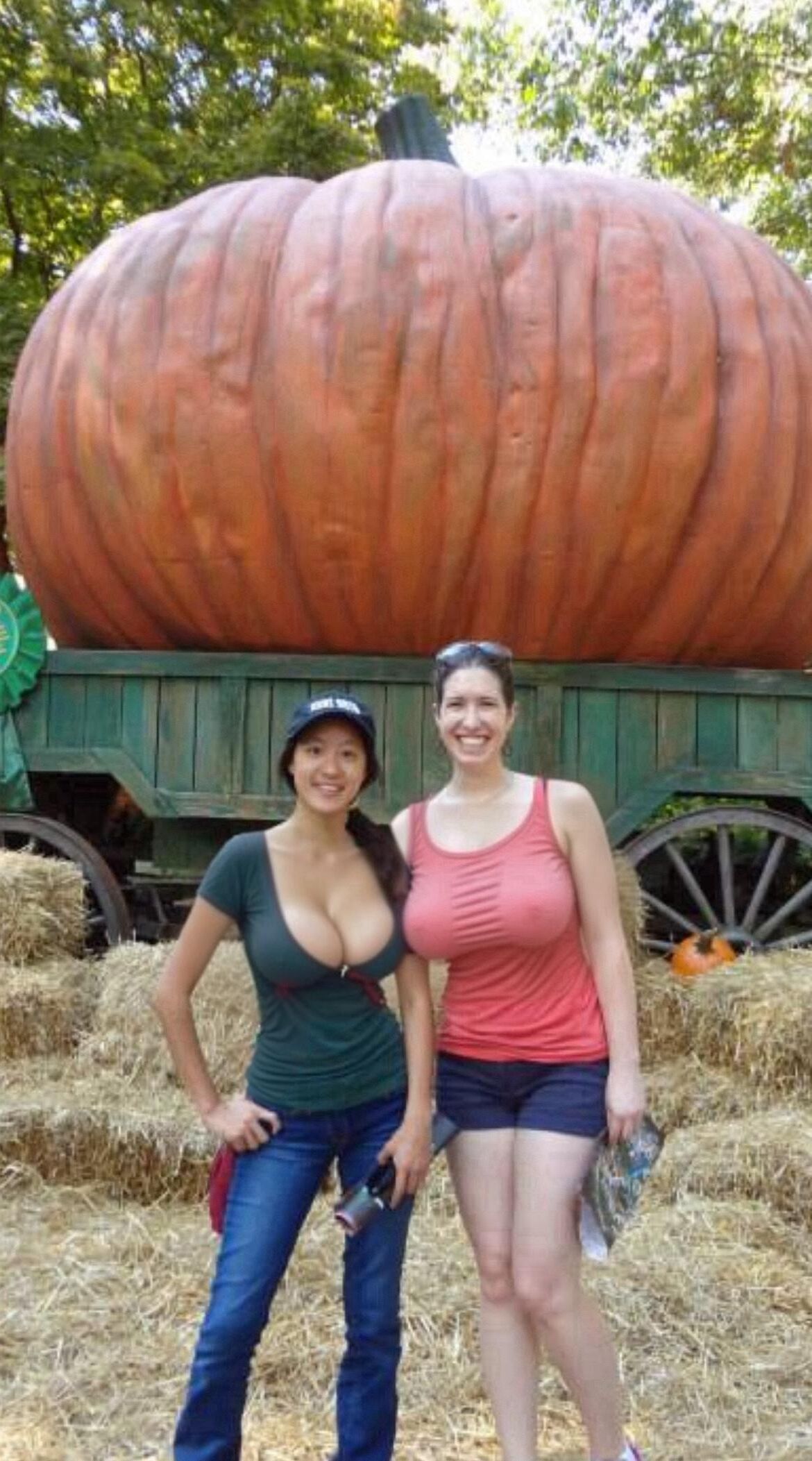 A world where all women have big watermelon boobs