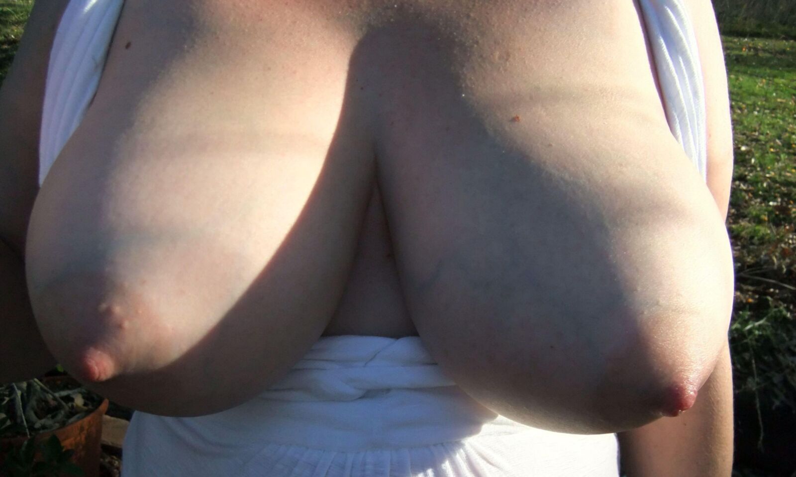 Tits for bigd.